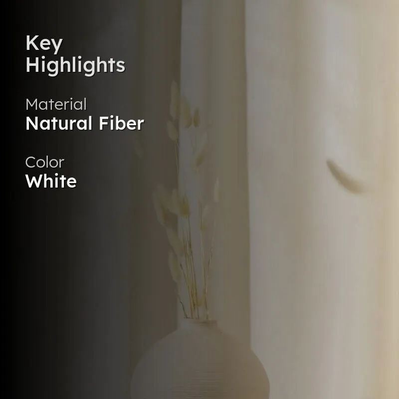 Bunny Tail Ornamental Grass (60 cms) - White media 2