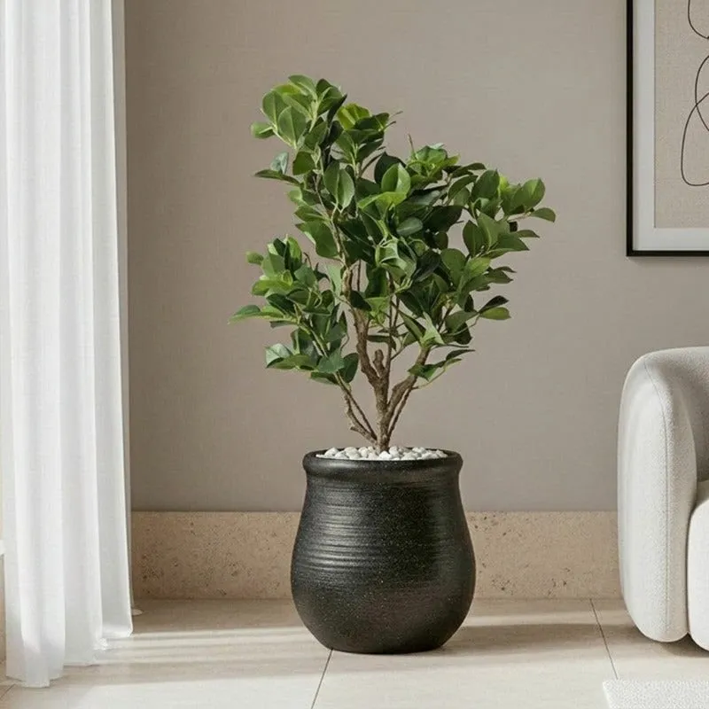 Dunora Floor Planter - Black media 5