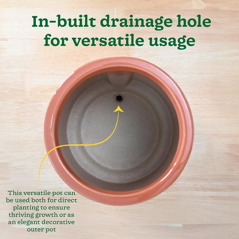 Ugaoo Duke of Drainage Ceramic Planter - Coral media 7