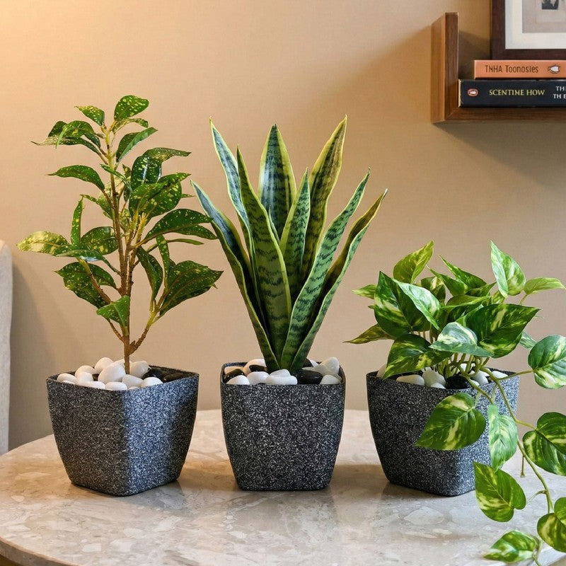 Monvia Garden Planter - Set Of Three media 3