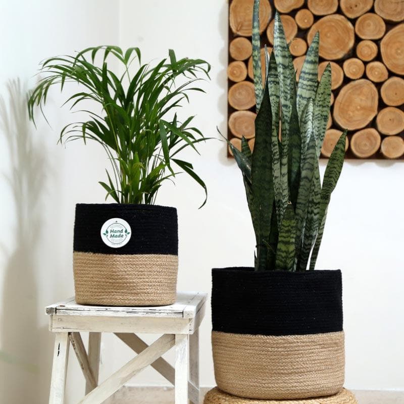 Organic Oasis Jute Planter media 6