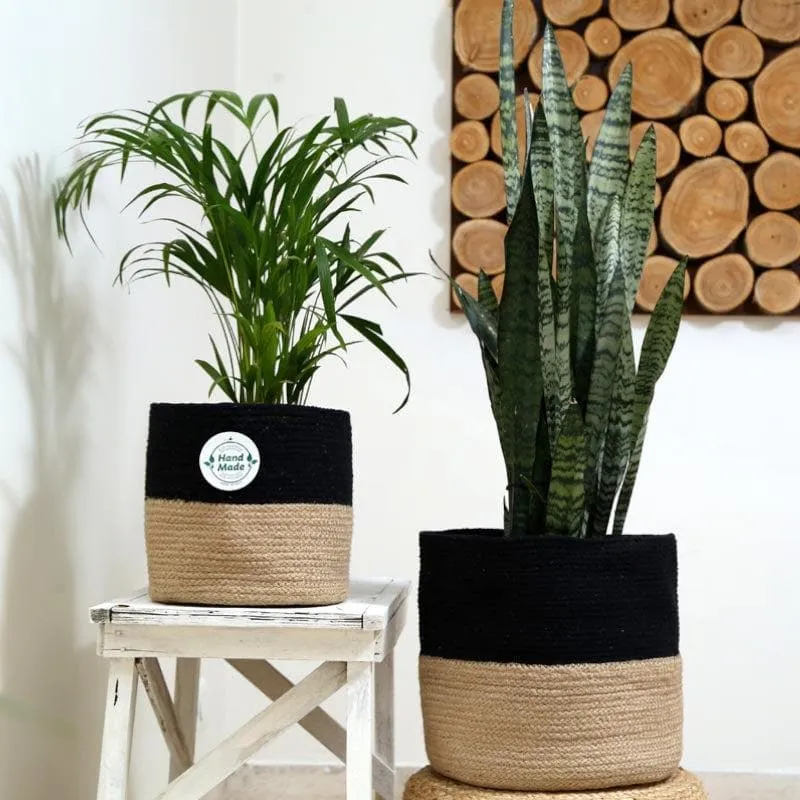 Organic Oasis Jute Planter media 6