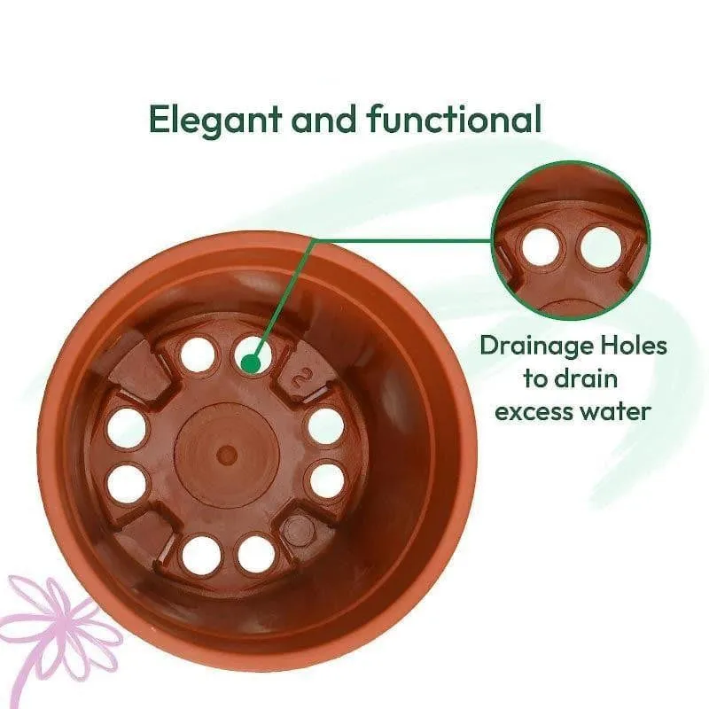 Top view of brown plastic pot showing multiple openings at the base
