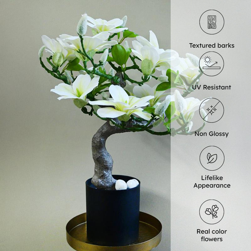 Magnira Artificial Mini Magnolia Tree With Black Plastic Pot (White & Green) - 50 cm media 6