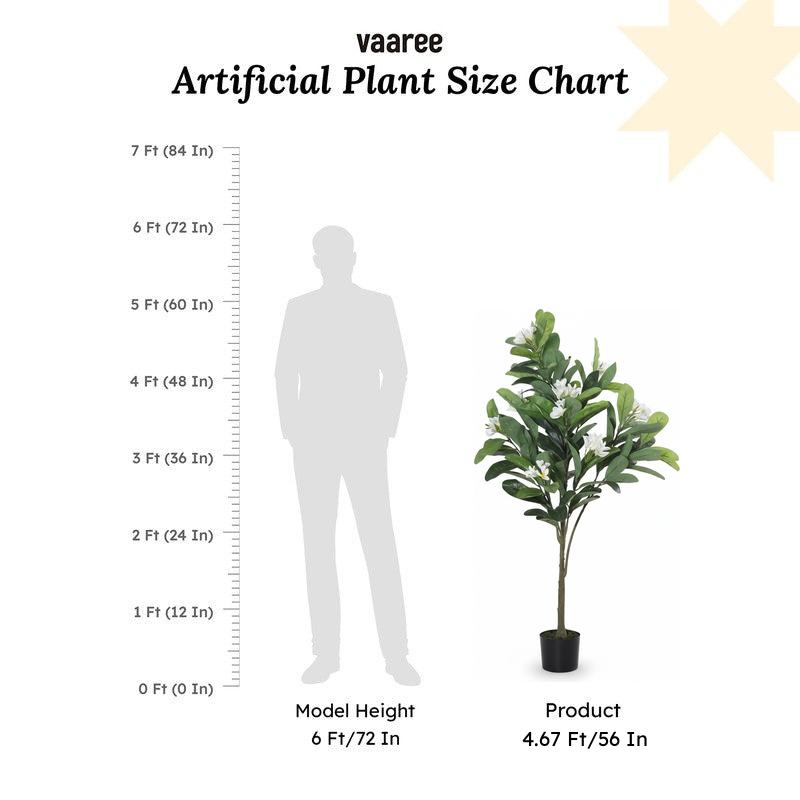Faux Plumeria Frangipani Plant With Black Plastic Pot - 4.5 Feet media 4