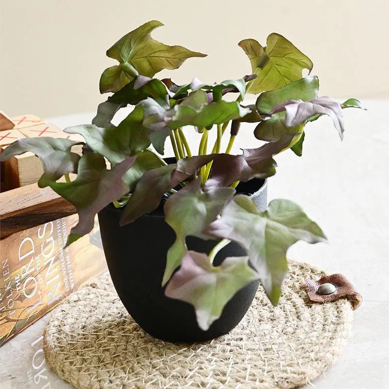 Ivella Artificial Mini Ivy Plant With Black Plastic Pot (Purple) - 14 cm media 3