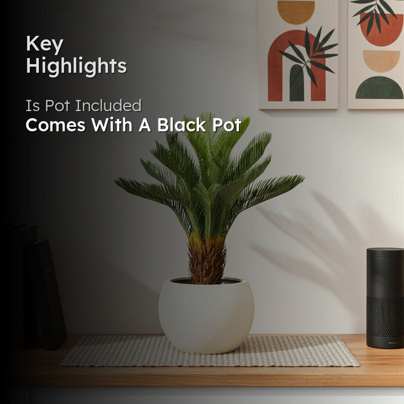 Botani Artificial Areca Plant With Black Plastic Pot - 3.1 Feet media 2