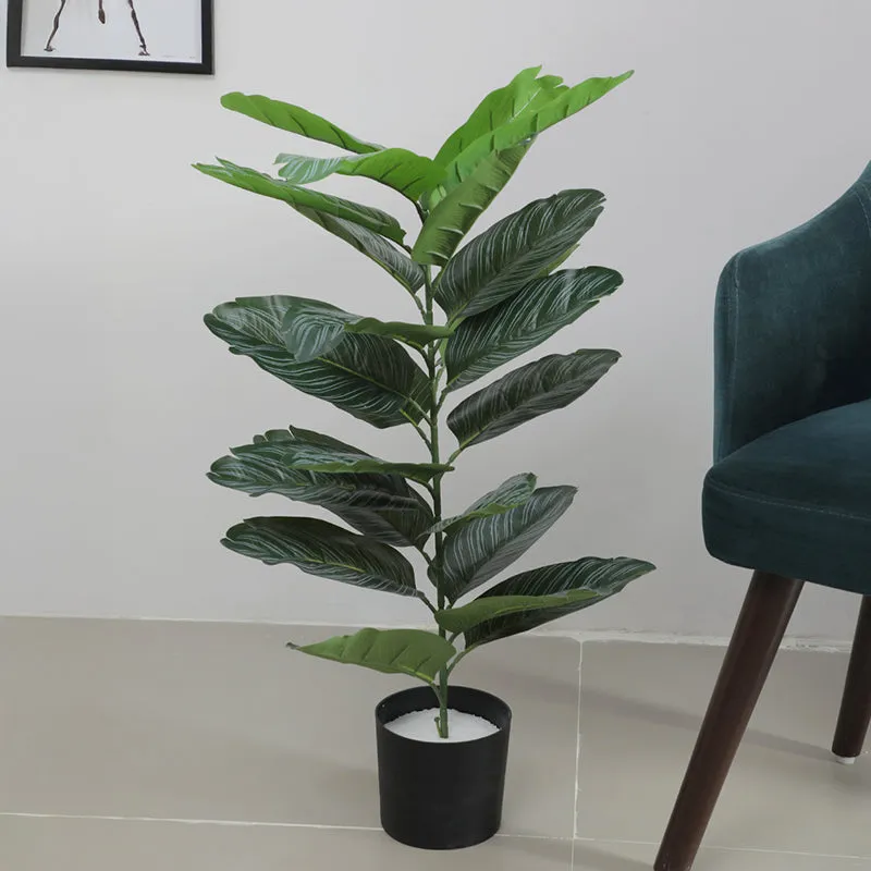 Edira Artificial Dieffenbachia Plant With Black Plastic Pot - 2.6 Feet media 3