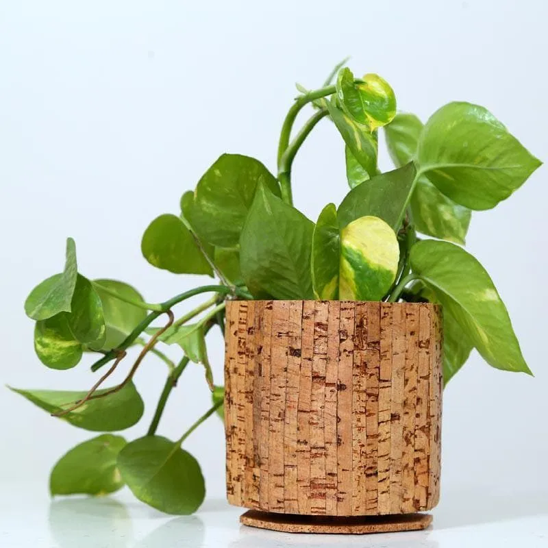Corkscape Garden Planter media 3