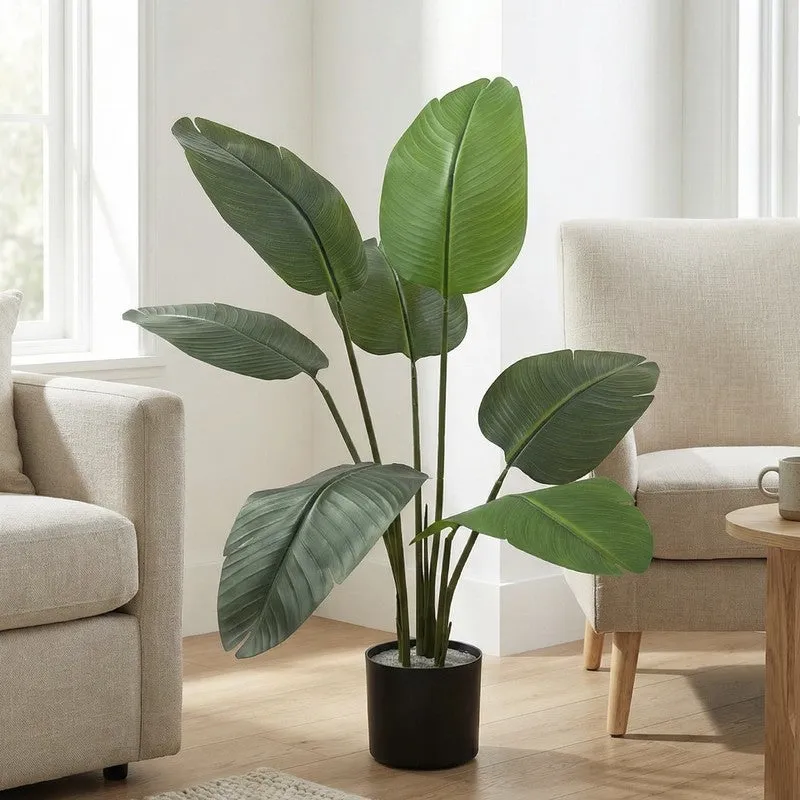 Tropiva Banana Leaf Palm Plant With Black Plastic Pot - 3.6 ft media 2