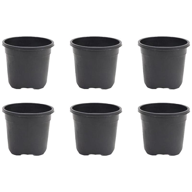 Ugaoo Garden Black Plastic Pot (9.9 CM) - Set Of Six media 4