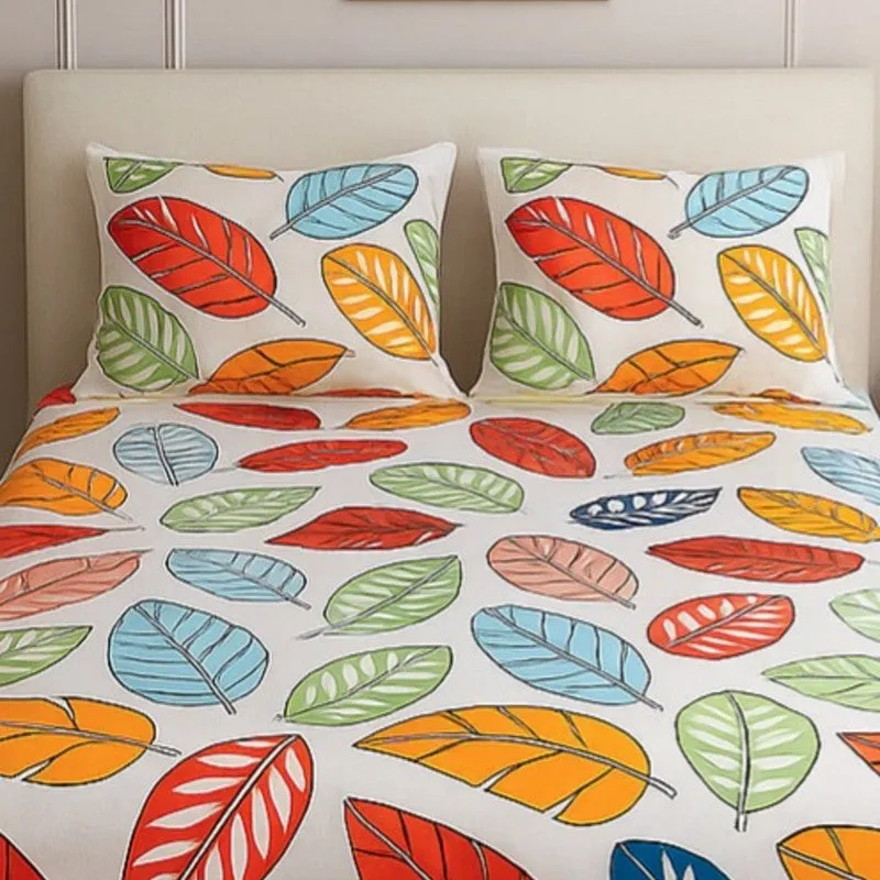 Zymera Bedsheet - 210 TC media 3