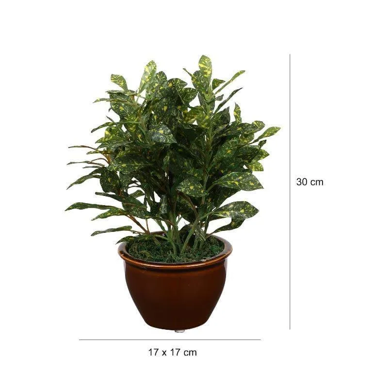 Faux Croton Bonsai In Ceramic Pot (28 cms) - Green media 4