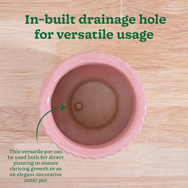 Ugaoo Classic Stria Ceramic Planter - Soft Pink media 7