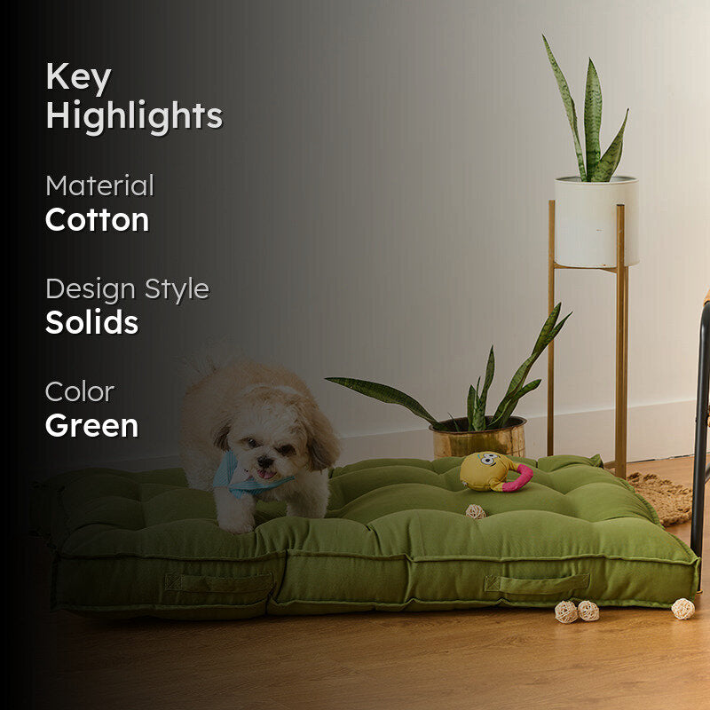 Pawdium Solid Cotton Floor Cushion - Light Green media 2