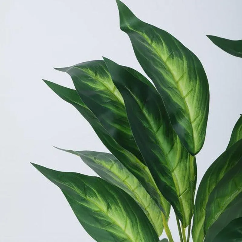 Faux Dracaena Plant With Black Plastic Pot (50 cms) - Set Of Two media 5