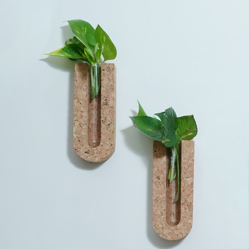 NatureGlow Hydro Planter - Two Piece Set media 3