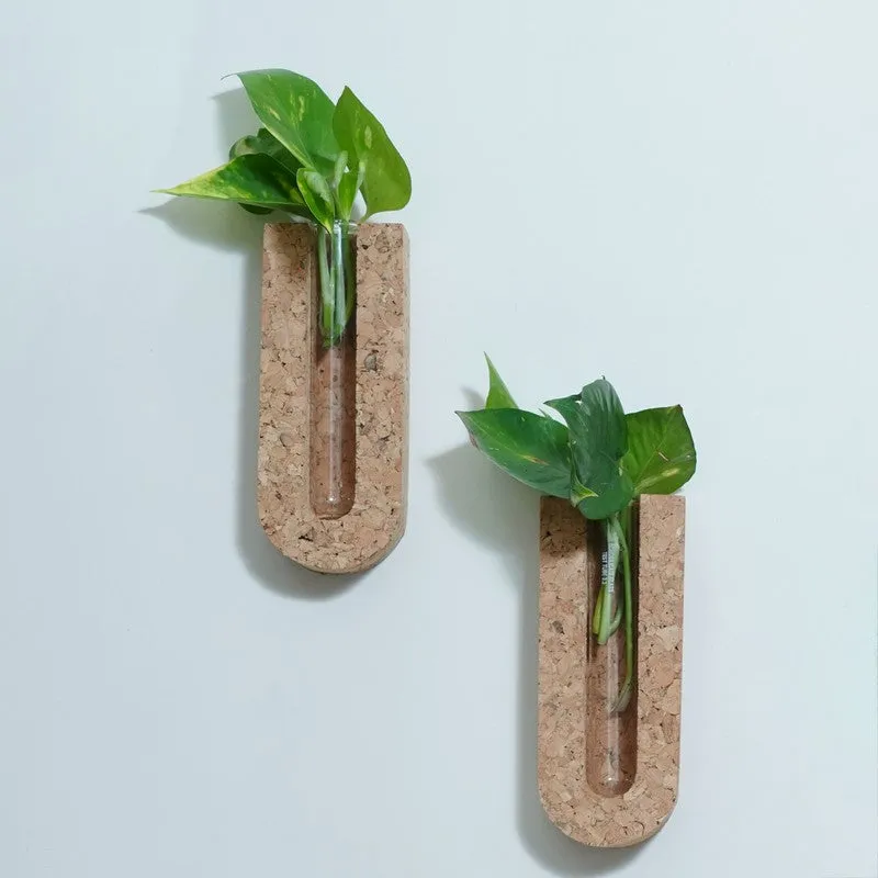 NatureGlow Hydro Planter - Two Piece Set media 3