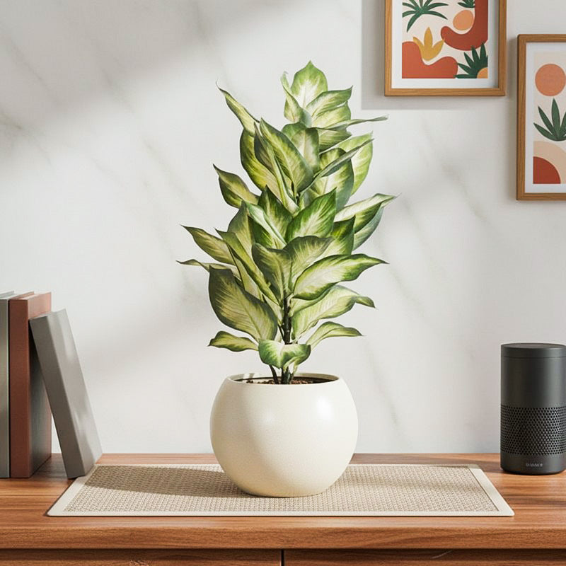 With Pot