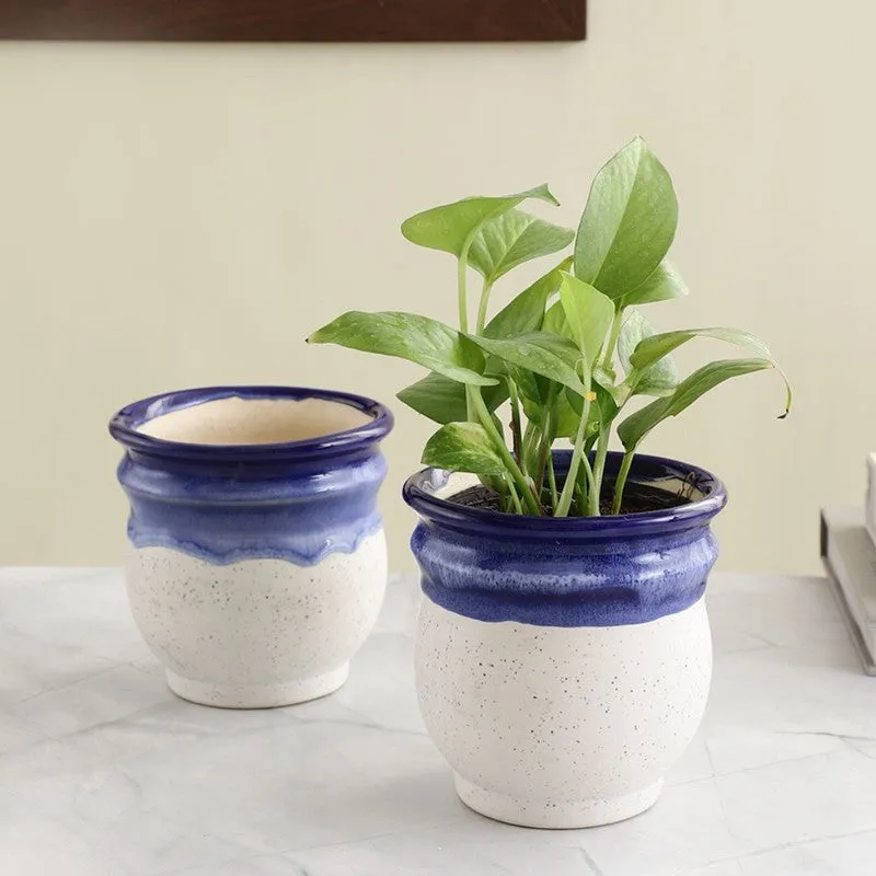 VelourVista Pots Blue,White - Set Of Two media 3