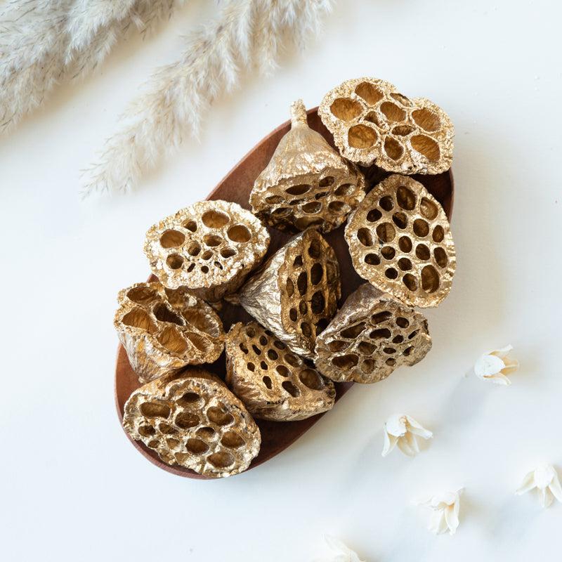 Nala Golden Lotus Pod - Set Of Ten