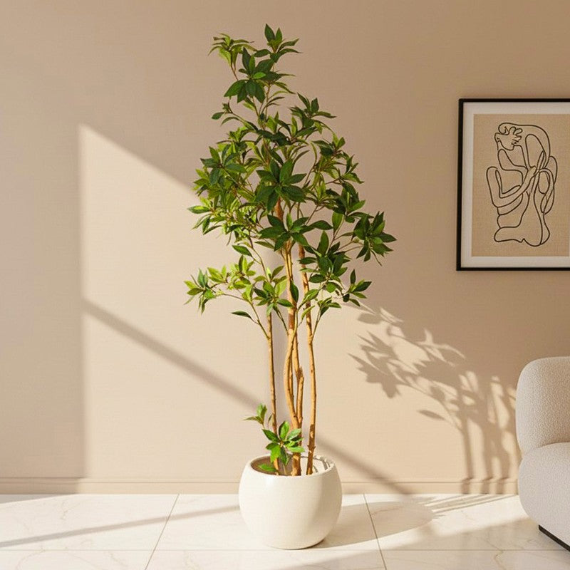 Verdiq Artificial Ruscus With Black Plastic Pot - 5 Feet