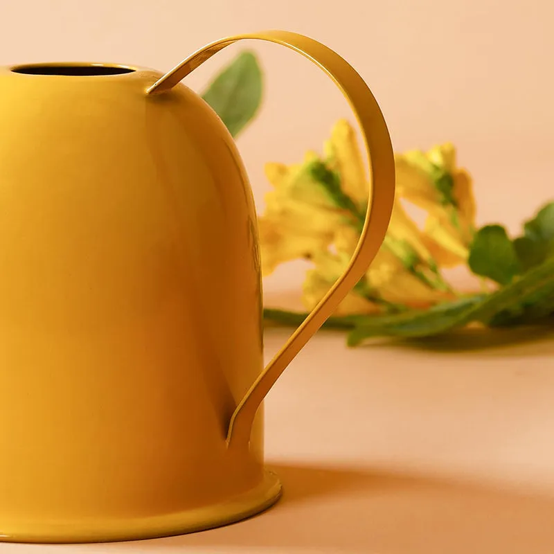 Driv Metal Watering Can media 8