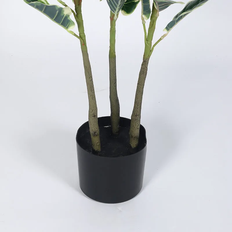 Folira Artificial Fiddle Fig With Black Plastic Pot - 5 Feet media 5