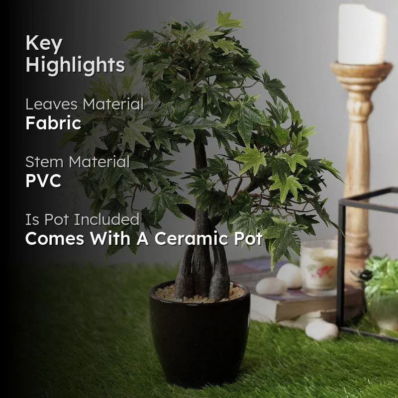 Artificial Green Maple Bonsai Plant With Ceramic Pot - 1.3 Feet media 2