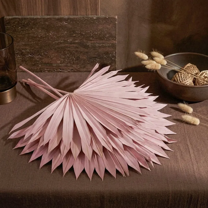 (Pink) Sun Palm Spear (20 cms) - Set Of Five Stems media 3