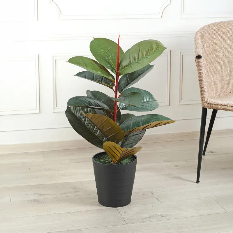 Urban Luxe Artificial Rubber Plant Without Pot - 2.1 Feet media 2
