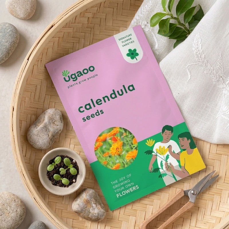 Ugaoo Calendula Seeds