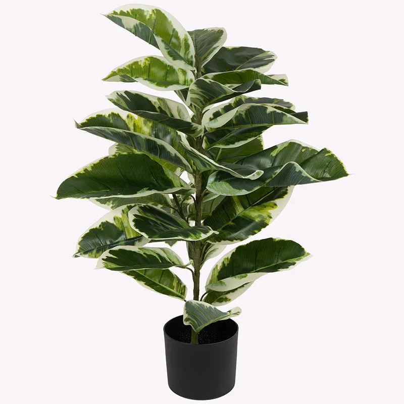 Veridora Artificial Rubber Plant With Black Plastic Pot - 2.5 Feet media 5