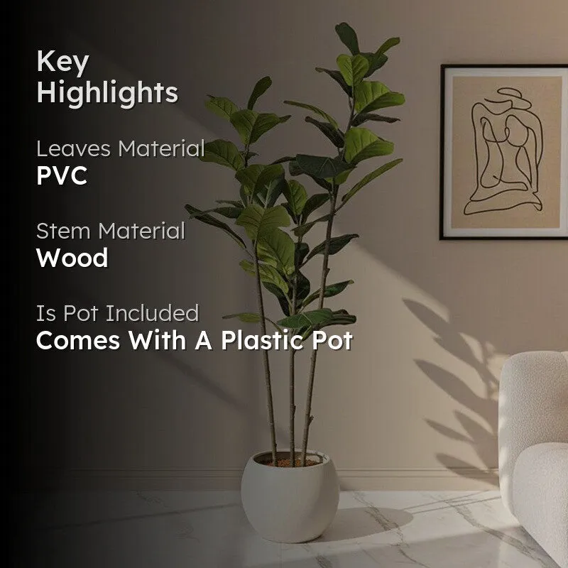 Artisan Fig Artificial Plant With Black Plastic Pot media 2