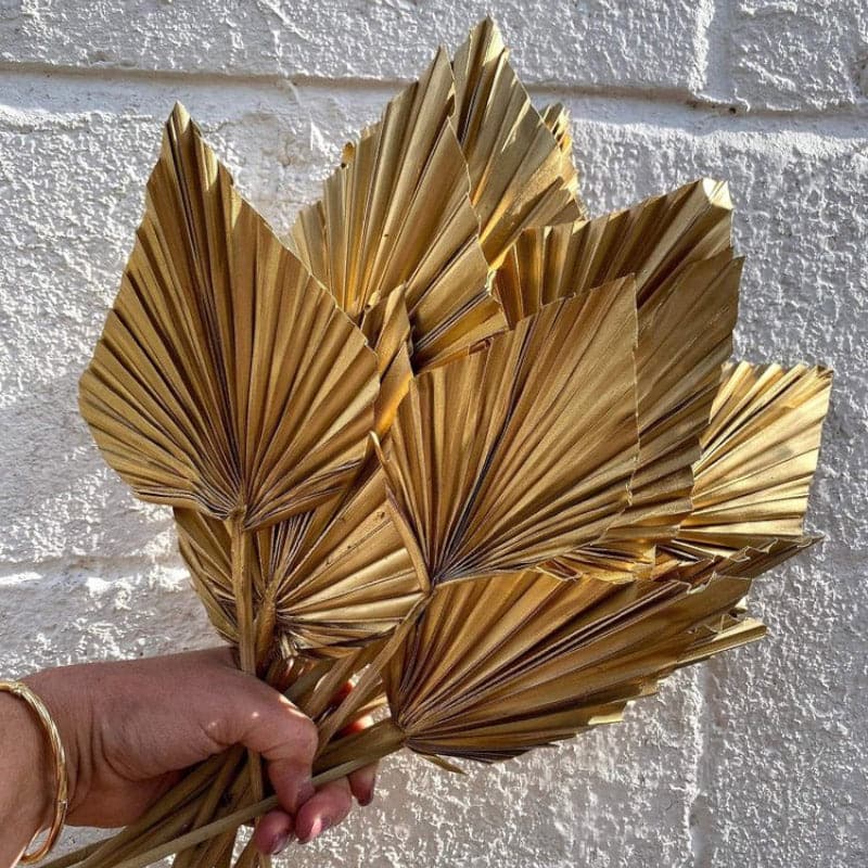 Dried Flowers & Leaves
