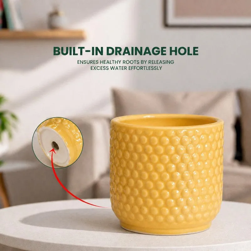 Nordic Bubble Ceramic Planter (Yellow) - Set of Two media 6
