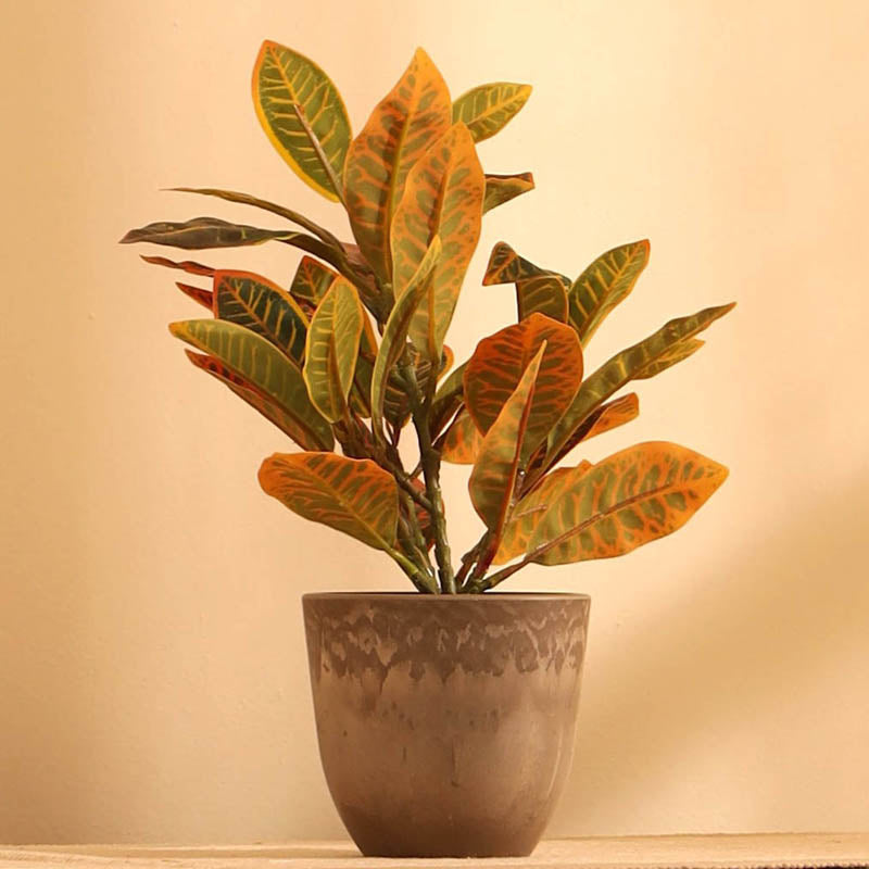 Artificial Garden Croton Plant With Black Plastic Pot (Set Of Two) - 1 Feet media 4