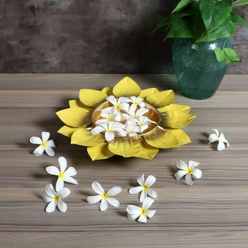 Stheva Pushpa Urli - Yellow media 1