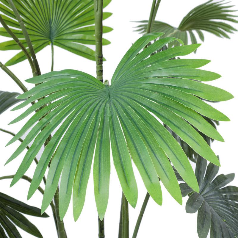 Faux Realistic Areca Plant With Black Plastic  Pot - 5.2 Feet media 7