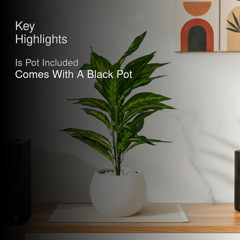 Faux Everlasting Dieffenbachia Amoena Plant With Black Plastic Pot - 71 cm (2.3 ft) media 2