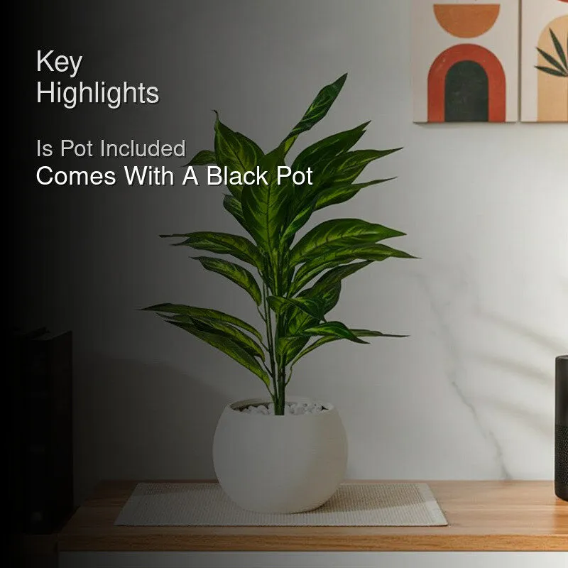 Faux Everlasting Dieffenbachia Amoena Plant With Black Plastic Pot - 71 cm (2.3 ft) media 2