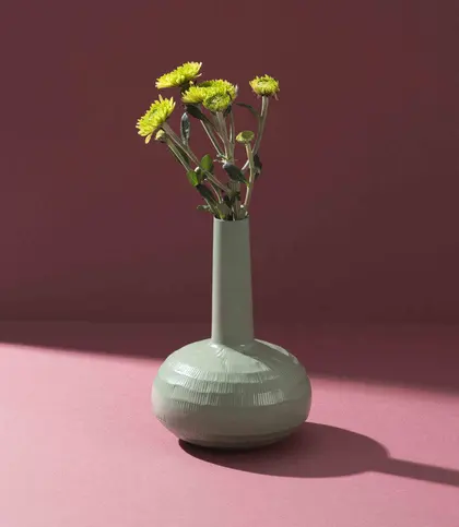Iron