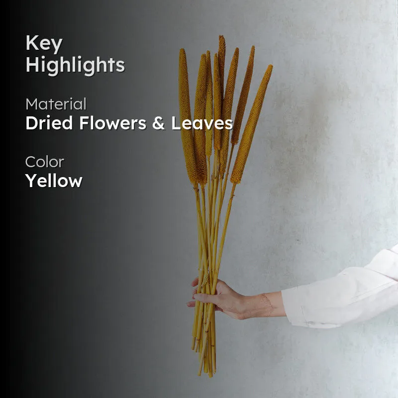 Sival Dried Millet Grass Stick (Yellow) - Set Of Ten media 2