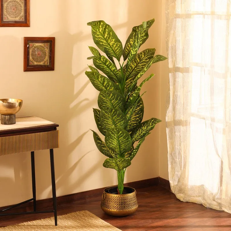 Artificial Dieffenbachia Plant With Black Plastic Pot 5.5 ft media 4