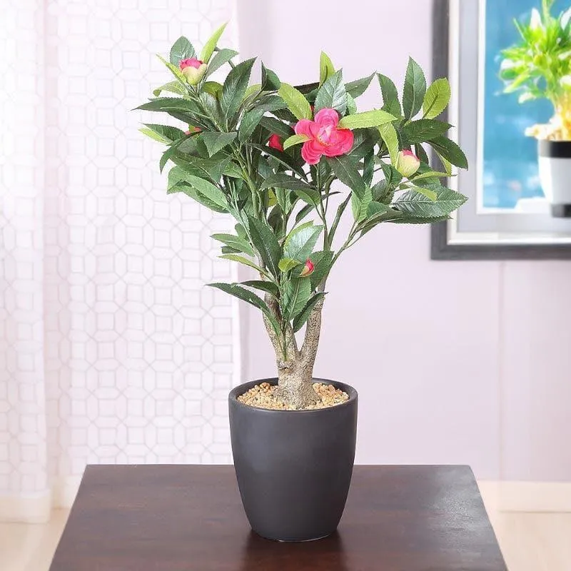 Faux Camellia Bonsai In Ceramic Pot (59 cms) - Pink media 1