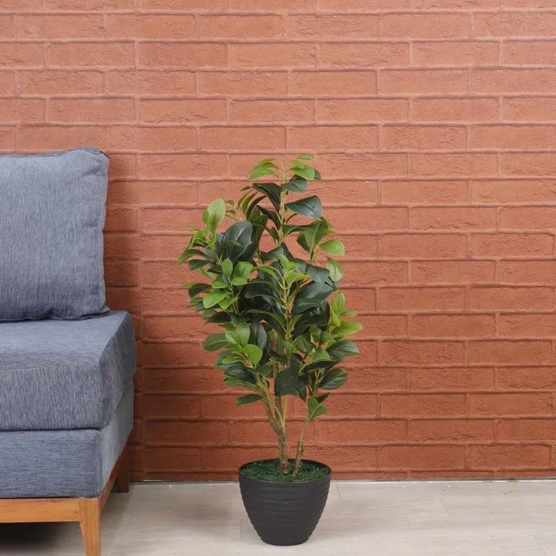 Artificial Peperomia Plant Without Pot - 2 Feet media 3