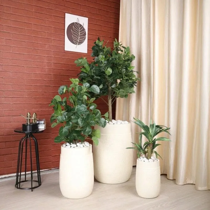 Three white planters in different sizes arranged with plants indoors