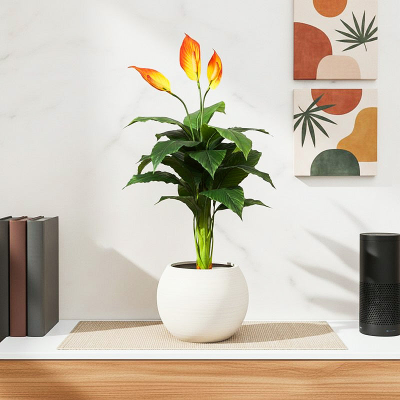 Evena Artificial Spathe Plant With Black Plastic Pot