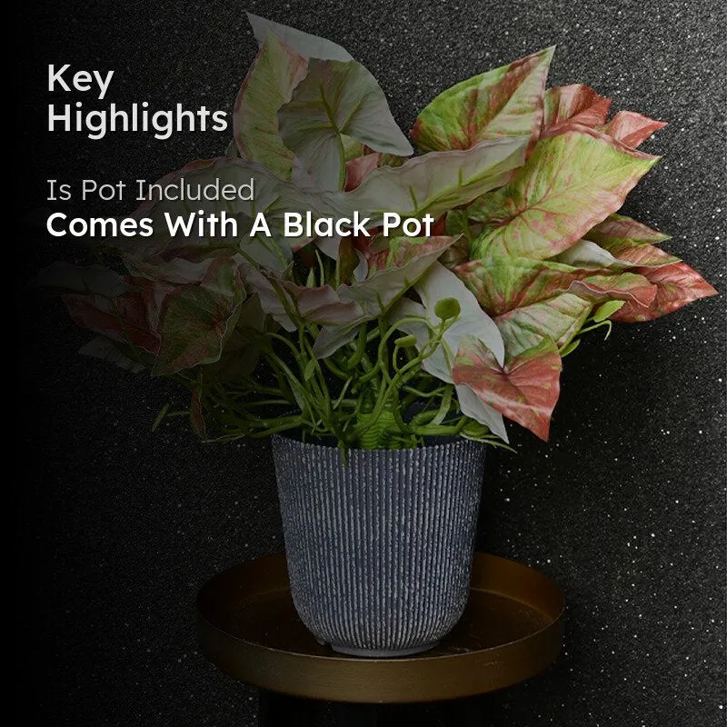 Calavine Artificial Caladium Plant With Black Plastic Pot - 40 cm media 2