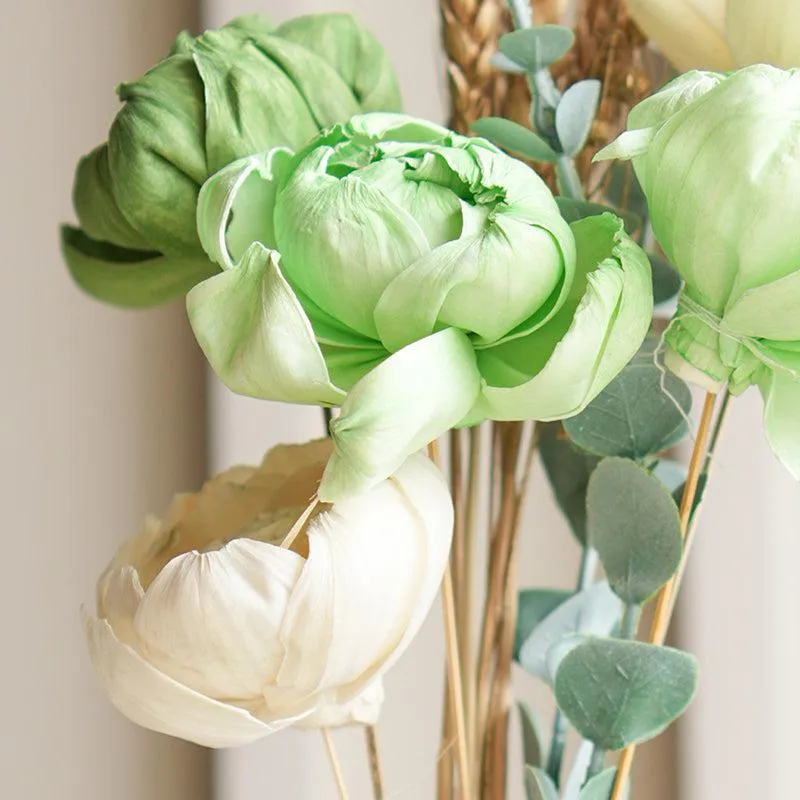 Peony Dreams Dried Flower Bunch media 5